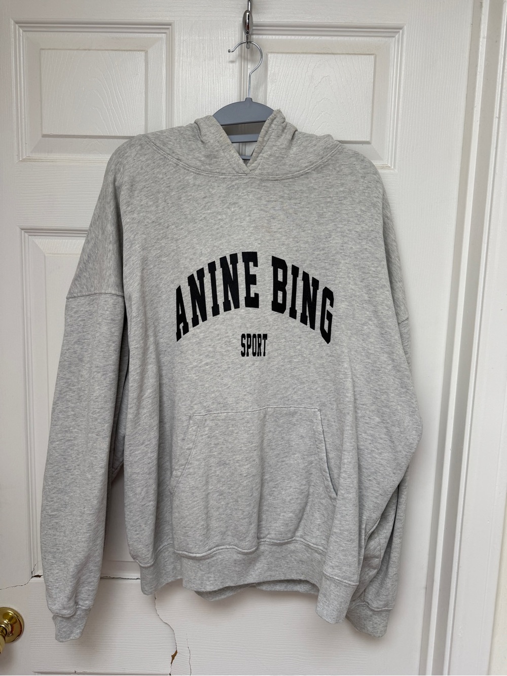 Anine Bing Harvey Logo Hoodie in Grey